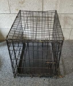 pet taxi 2 copy